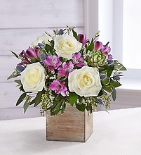 Amethyst Splendor Succulent Bouquet
