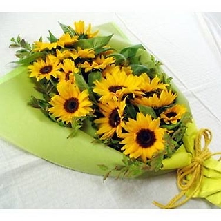Sunflower Blast