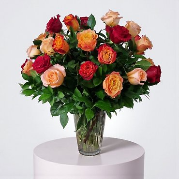 Autumn Love Roses