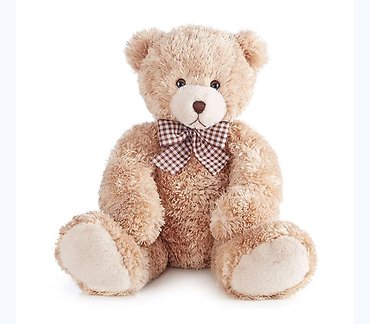 Lotsa Love Teddy Bear