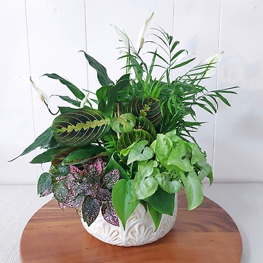 Peace Lily Dish Garden