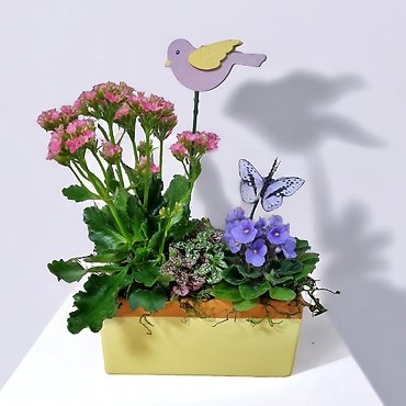 Blooming Garden - Florist Exclusive