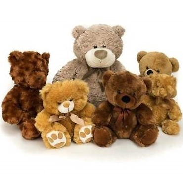 Teddy & Friends