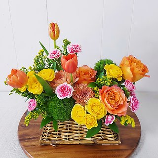 Beauty in Bloom
