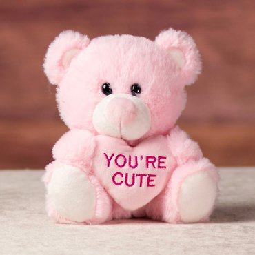 5.5\" Conversation Heart Bear