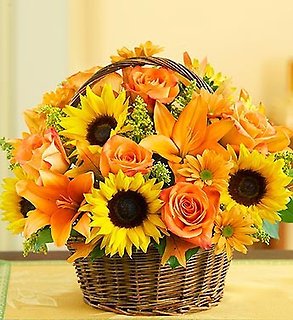Fields of Europe for Fall Basket