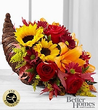 Harvest Cornucopia