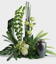 Tranquil Reflections Cremation Tribute