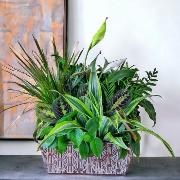 Deep Feelings Dishgarden 25\"Hx24\"W