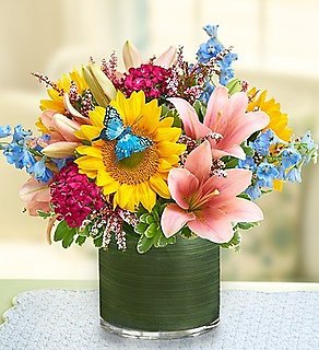 Simple Sophistication